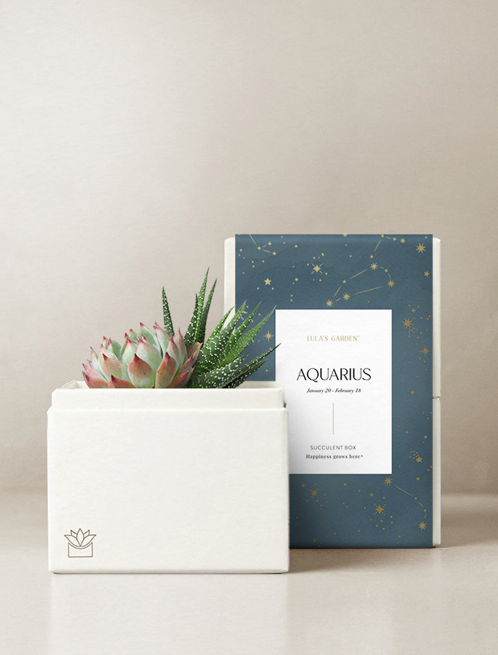 Aquarius Garden