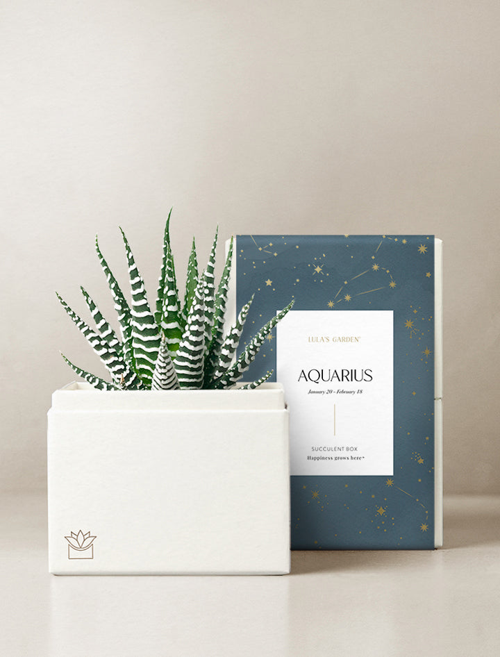 Aquarius Garden