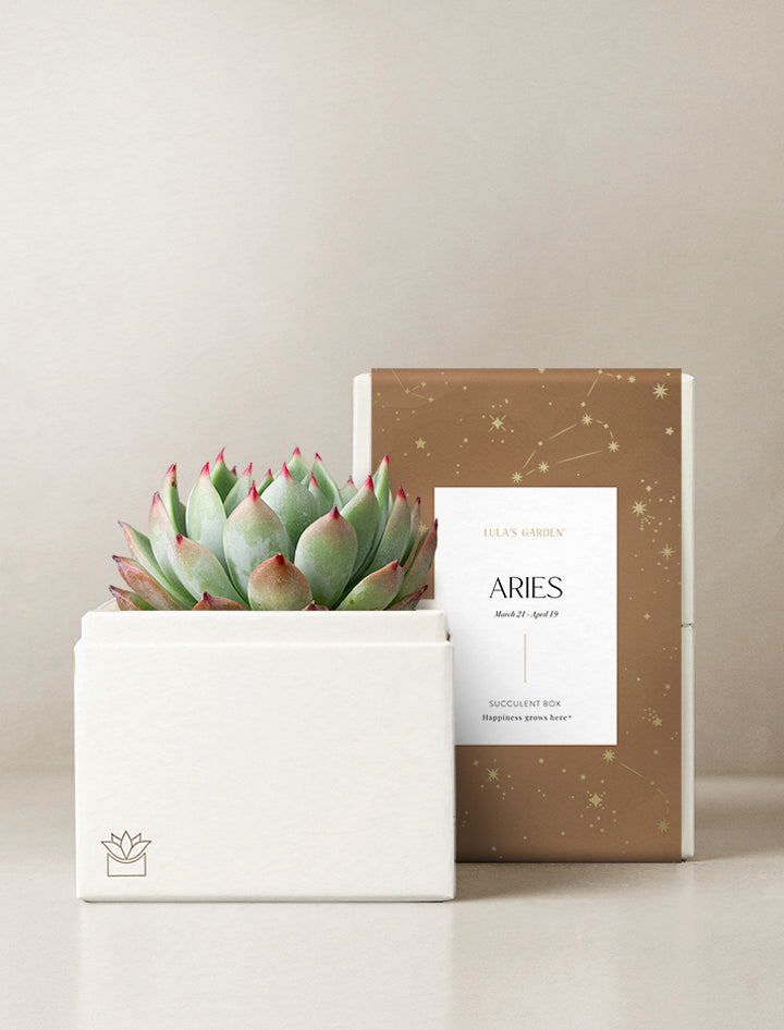 Aries Garden