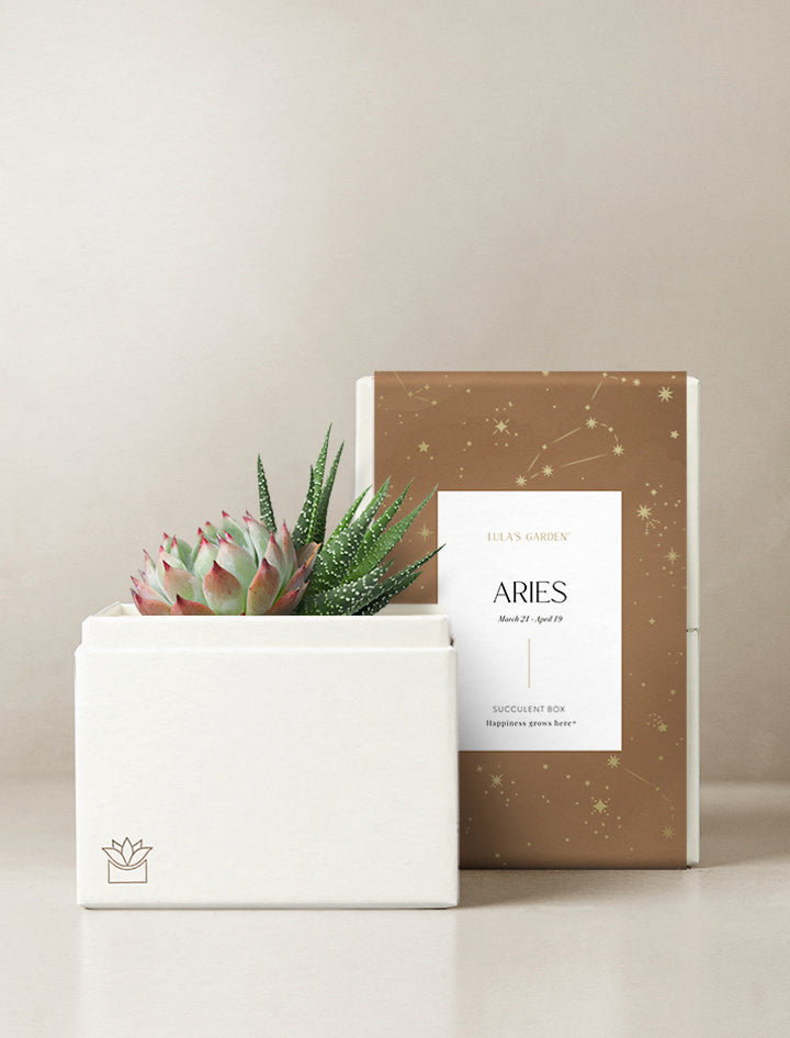 Aries Garden