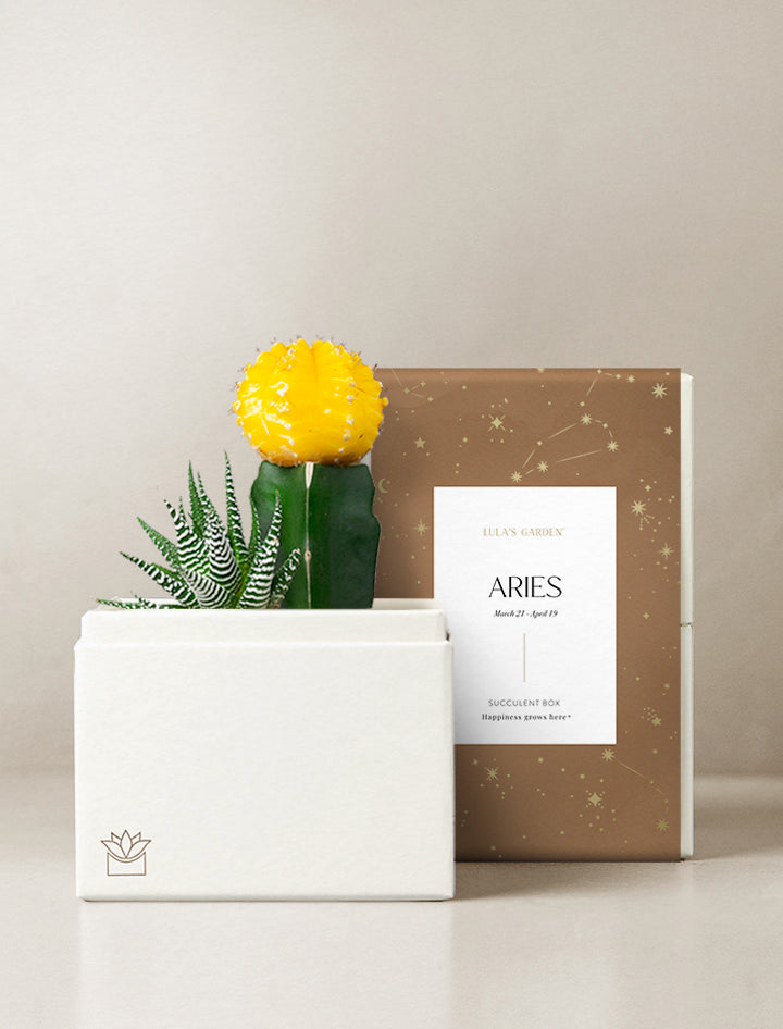 Aries Garden