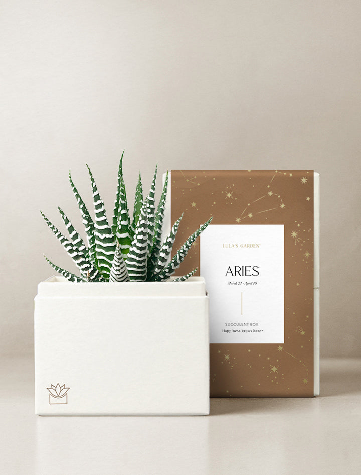 Aries Garden