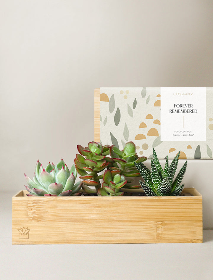 Bamboo Jewel Garden