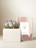 Love Bliss Garden