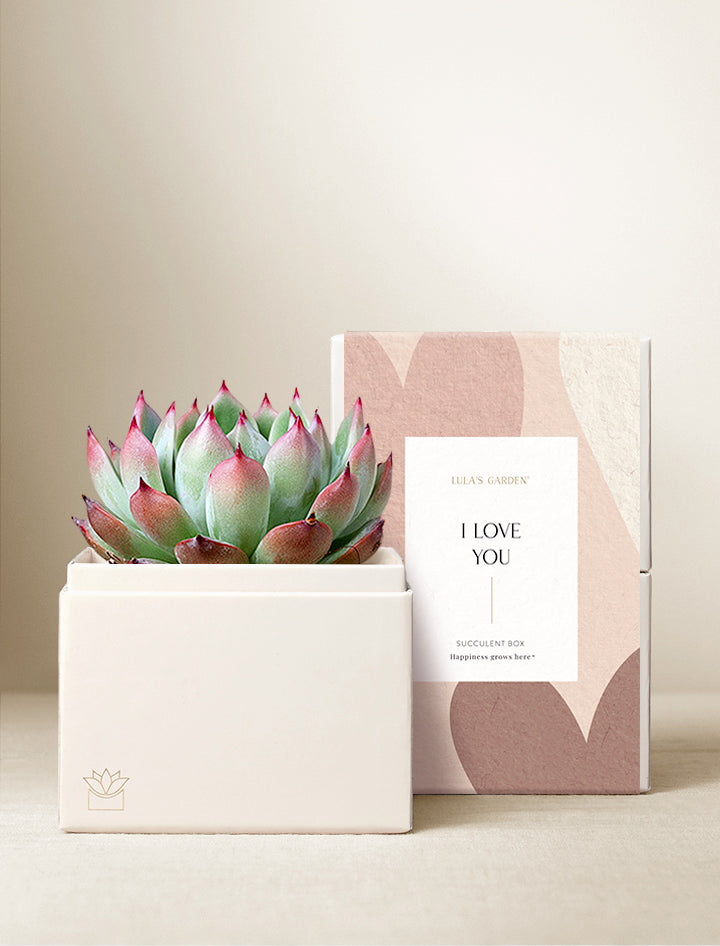Love Bliss Garden & Candle
