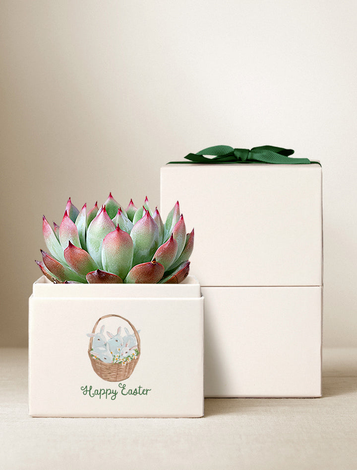 Easter Bliss Garden