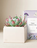 Mother's Day Bliss Garden