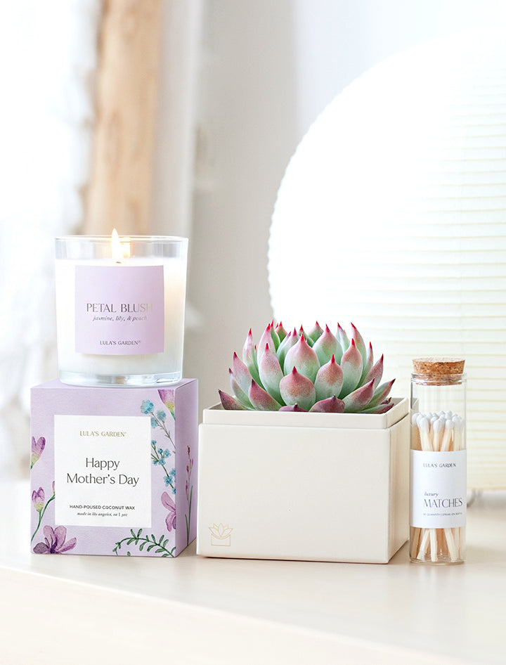 Mother's Day Bliss Garden Gift Set