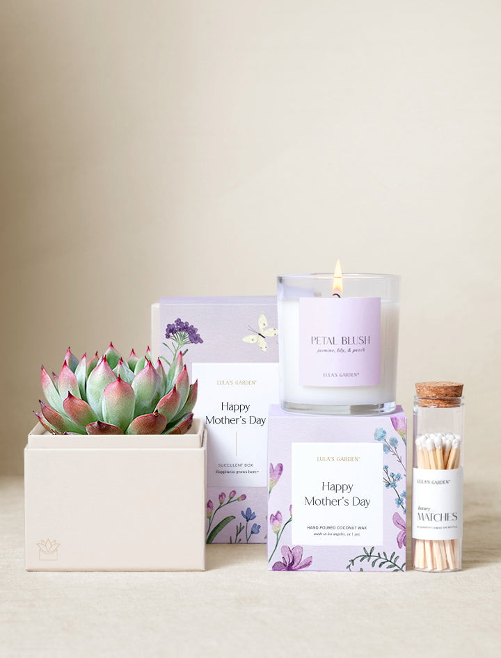 Mother's Day Bliss Garden Gift Set