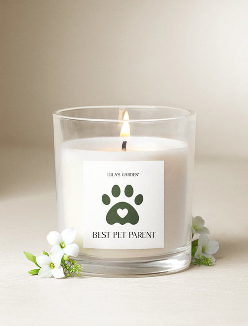 Best Pet Parent Candle