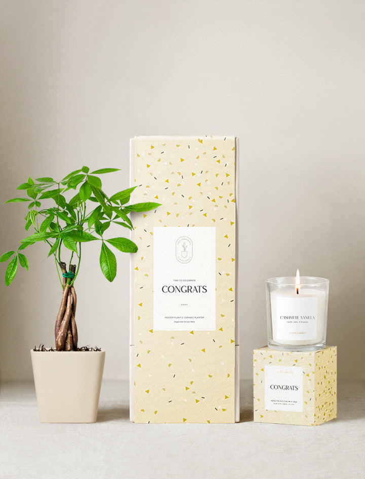 Congrats Plant Gift Set