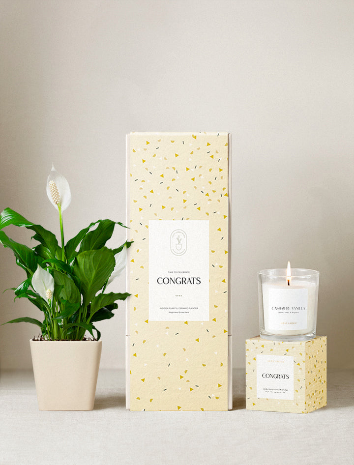 Congrats Plant Gift Set