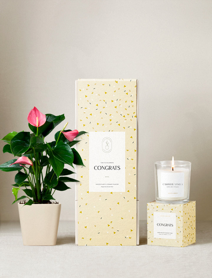 Congrats Plant Gift Set