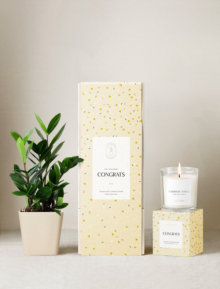 Congrats Plant Gift Set