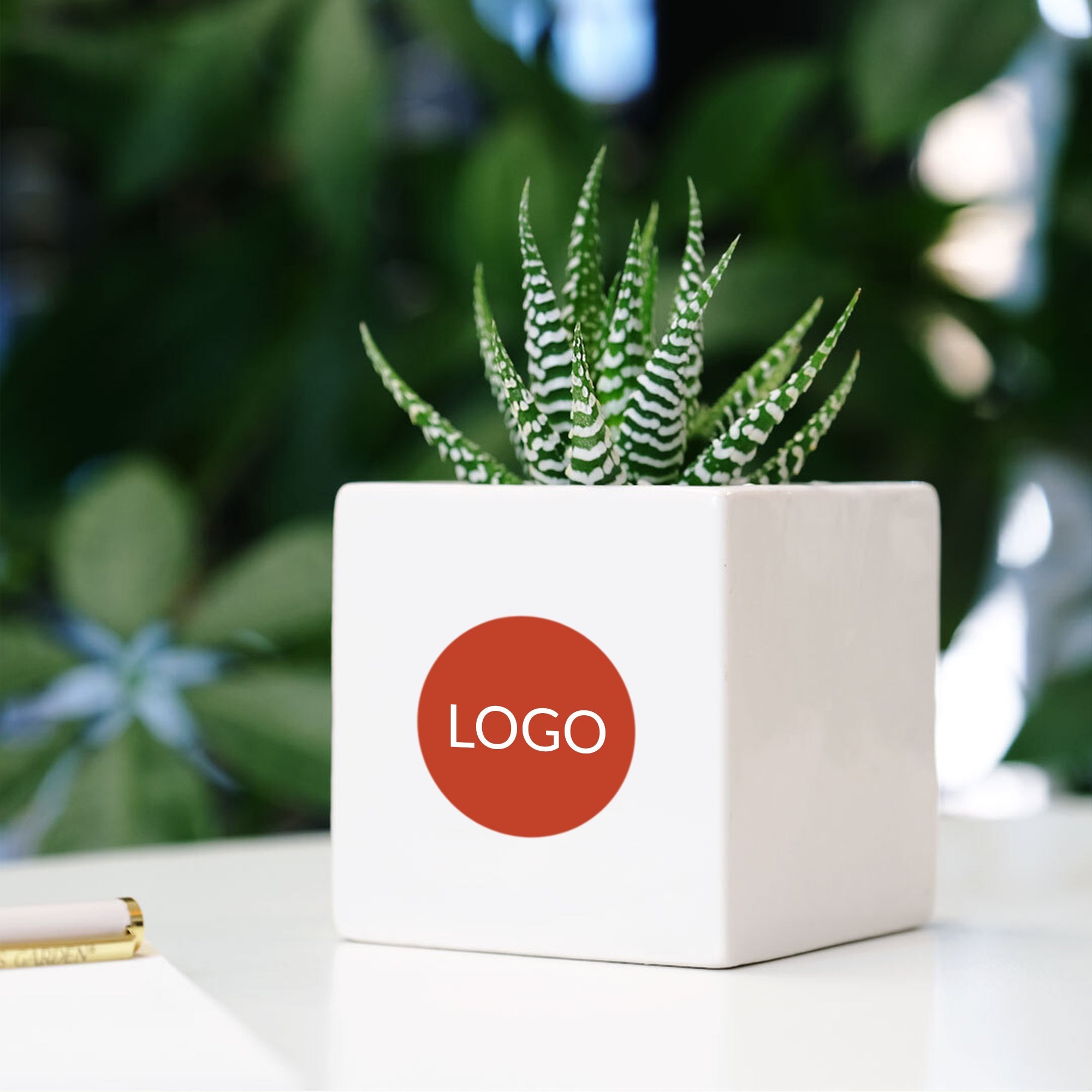 Custom Ceramic Desk Succulent