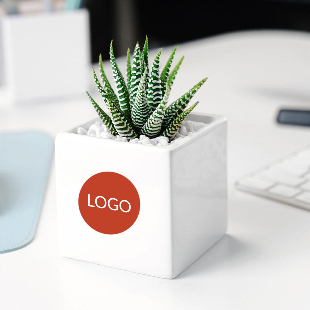 Custom Ceramic Desk Succulent