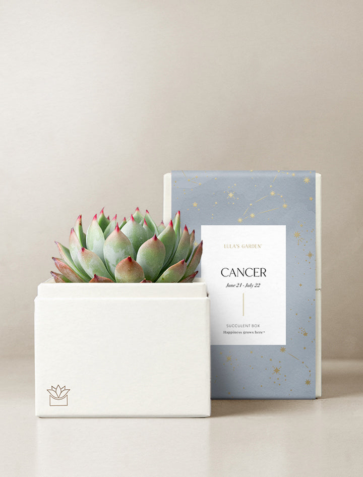 Cancer Garden