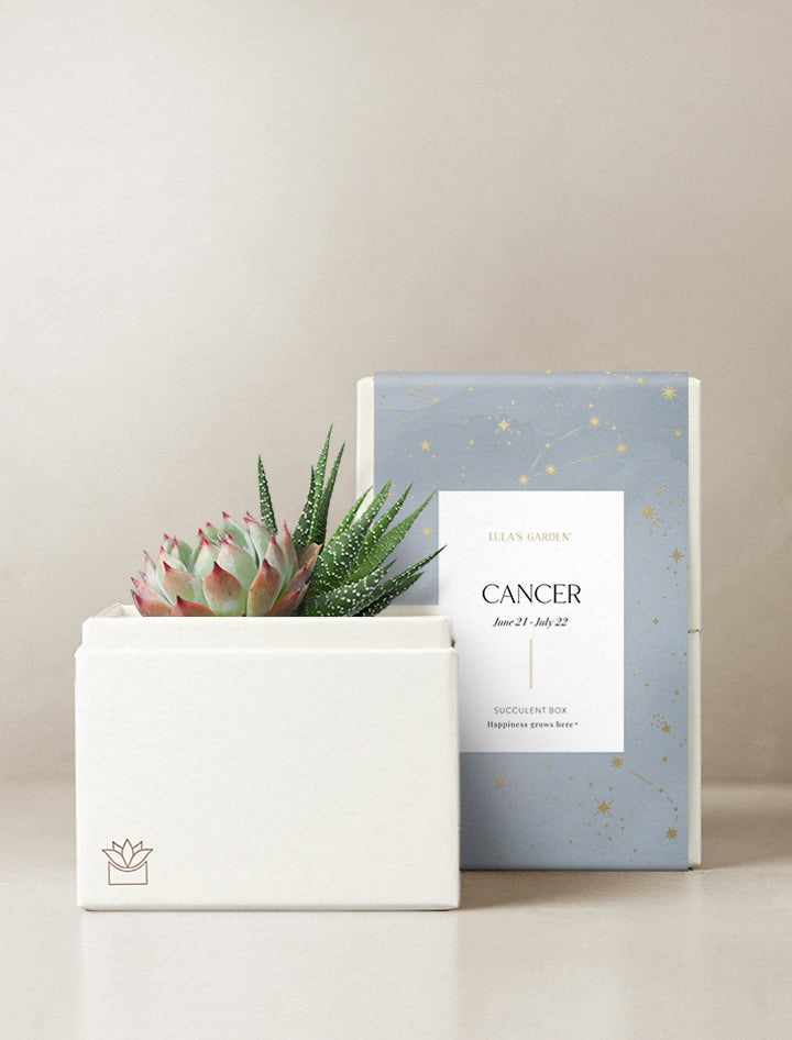Cancer Garden