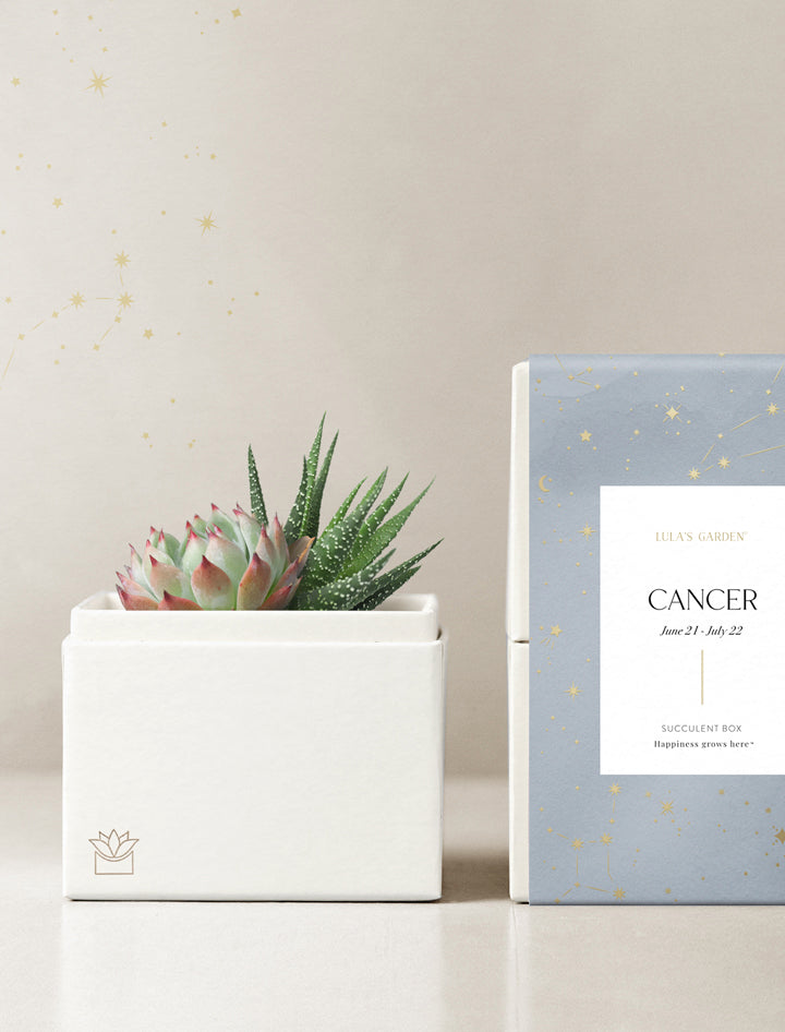 Cancer Garden