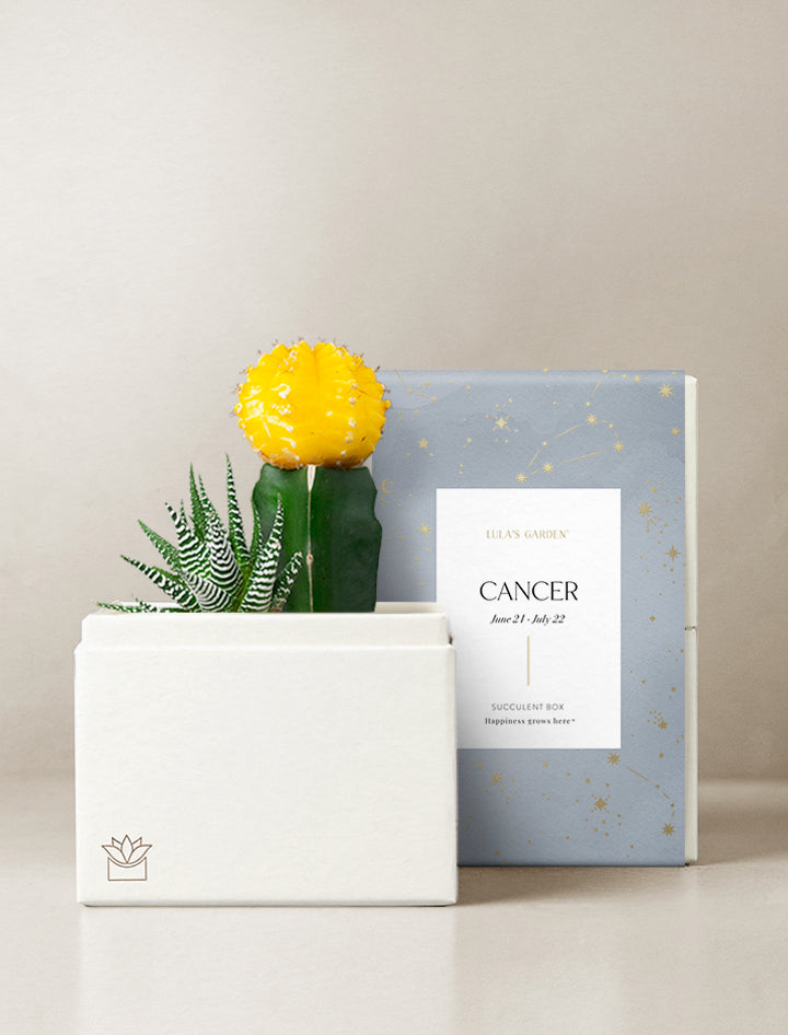 Cancer Garden