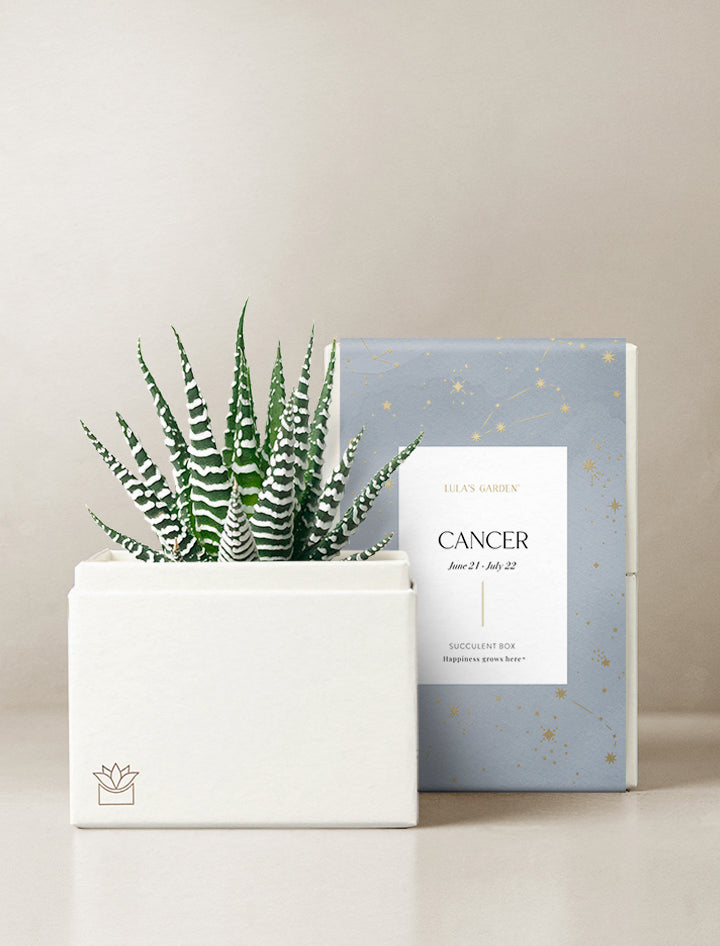 Cancer Garden