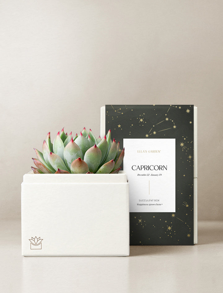 Capricorn Garden