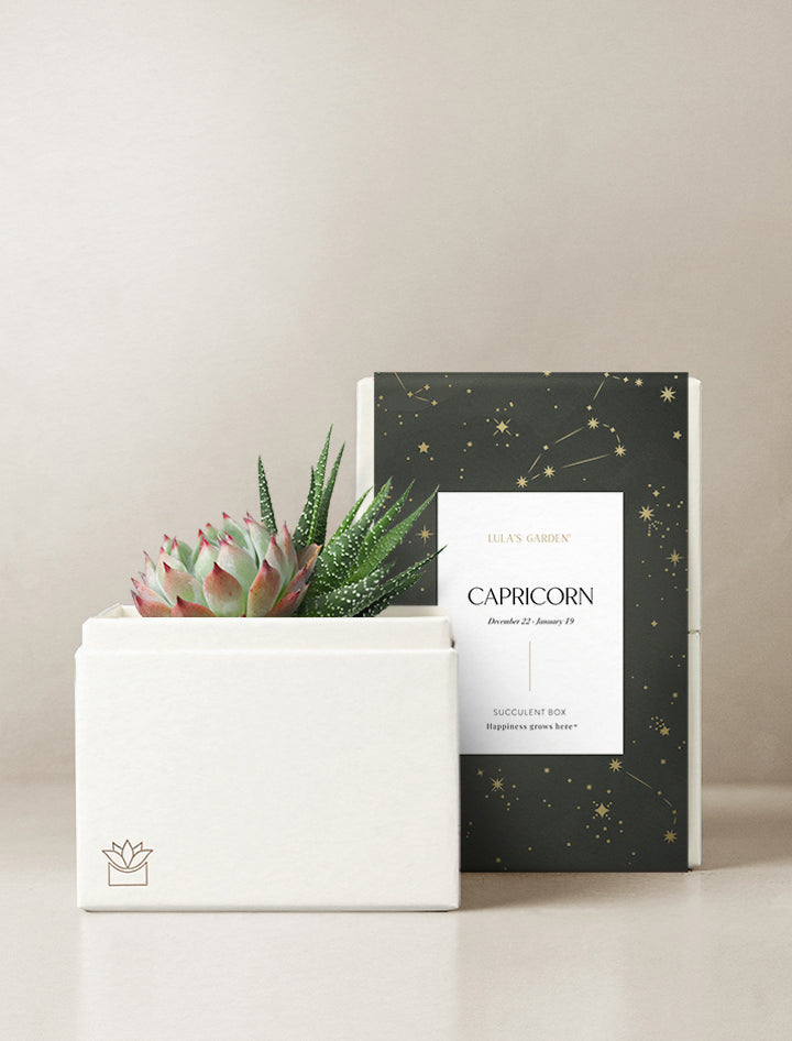 Capricorn Garden