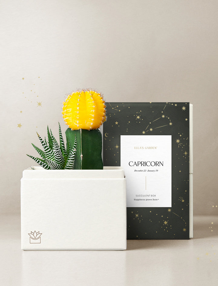 Capricorn Garden