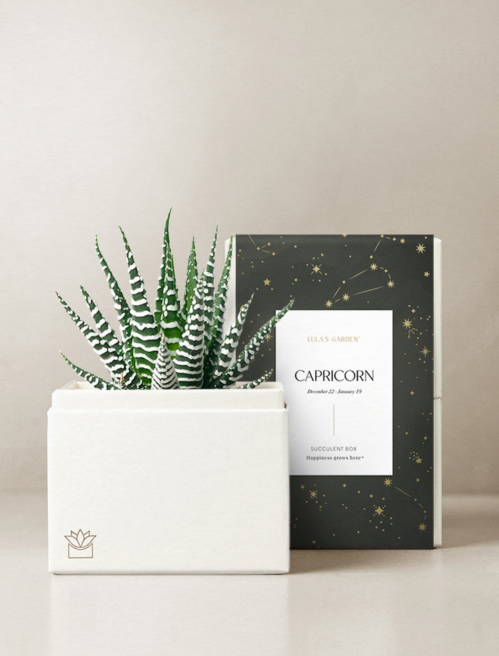 Capricorn Garden