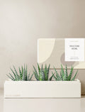 Welcome Home Deluxe Zebra Garden