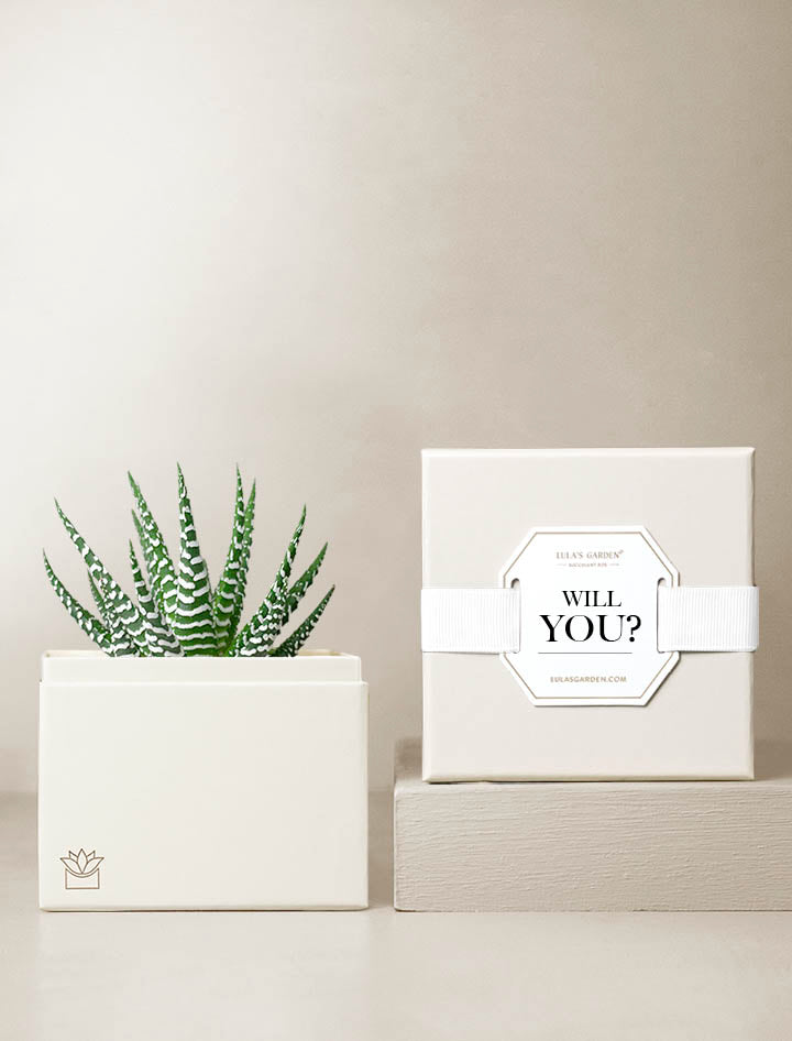 Will You? Duet Garden