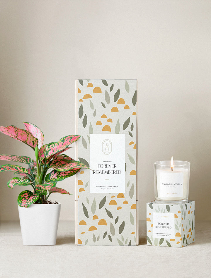 Forever Remembered Plant Gift Set