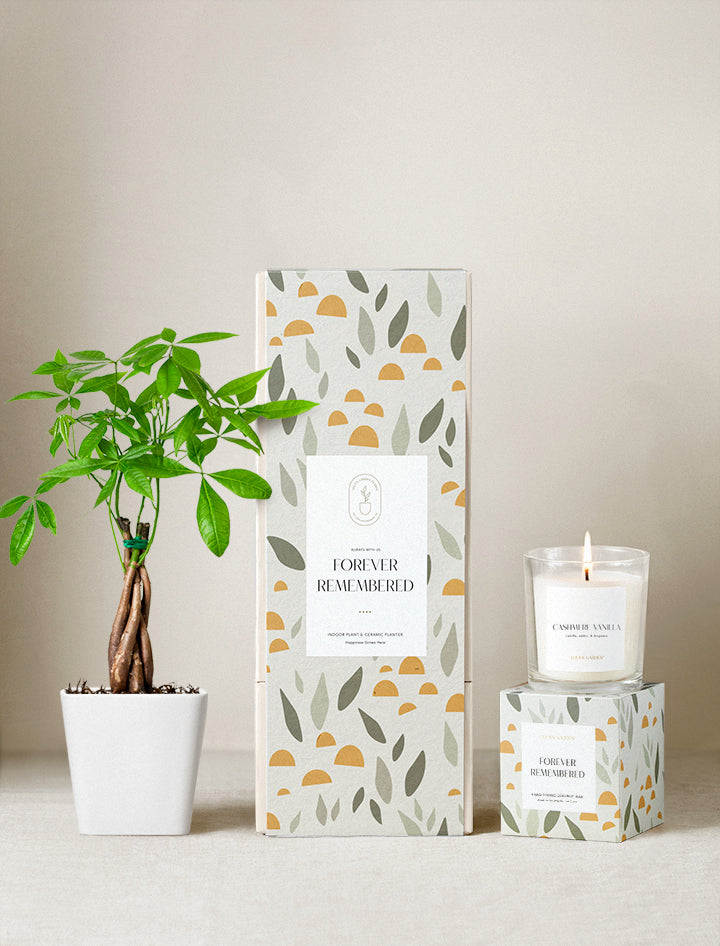 Forever Remembered Plant Gift Set