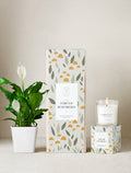 Forever Remembered Plant Gift Set
