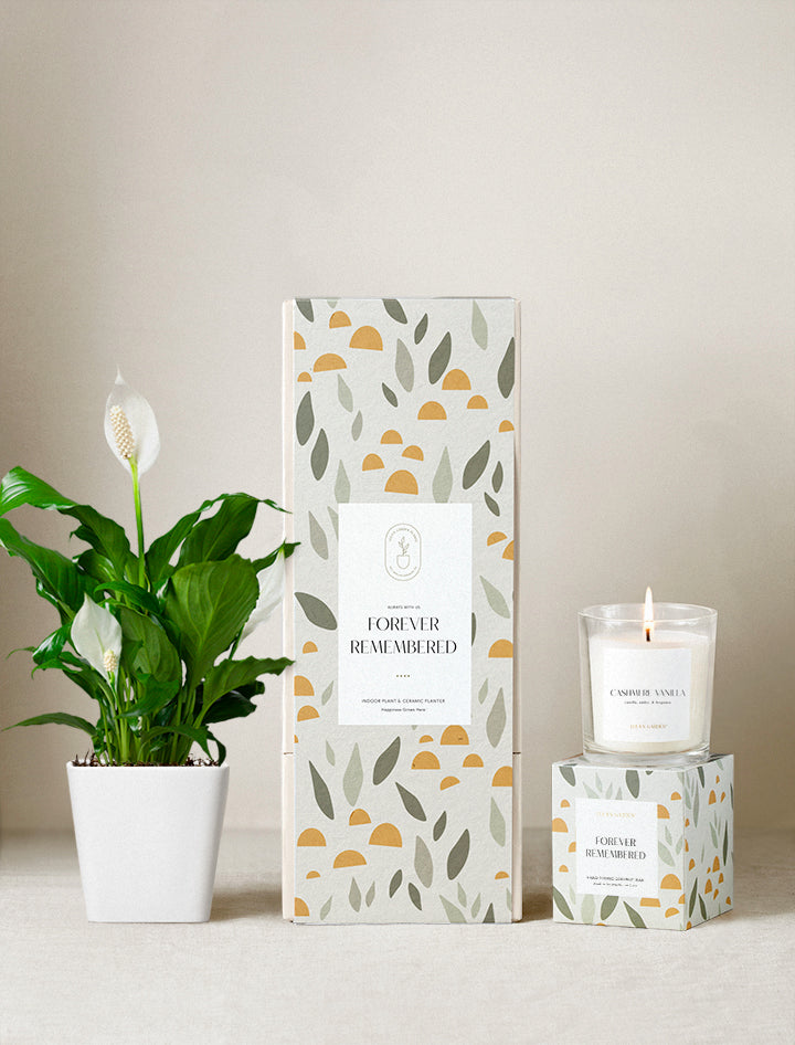 Forever Remembered Plant Gift Set
