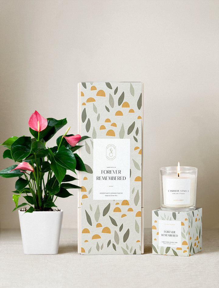 Forever Remembered Plant Gift Set