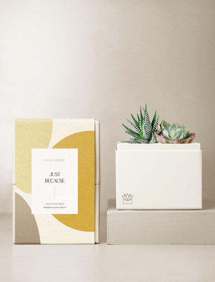 Just Because Glow Garden