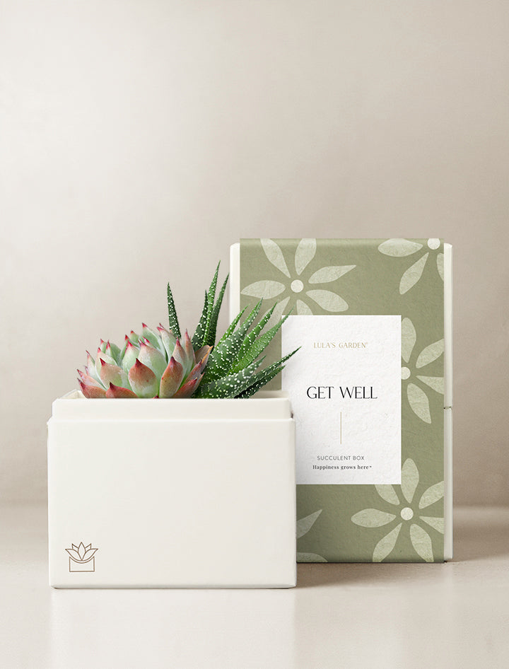 Get Well Glow Garden