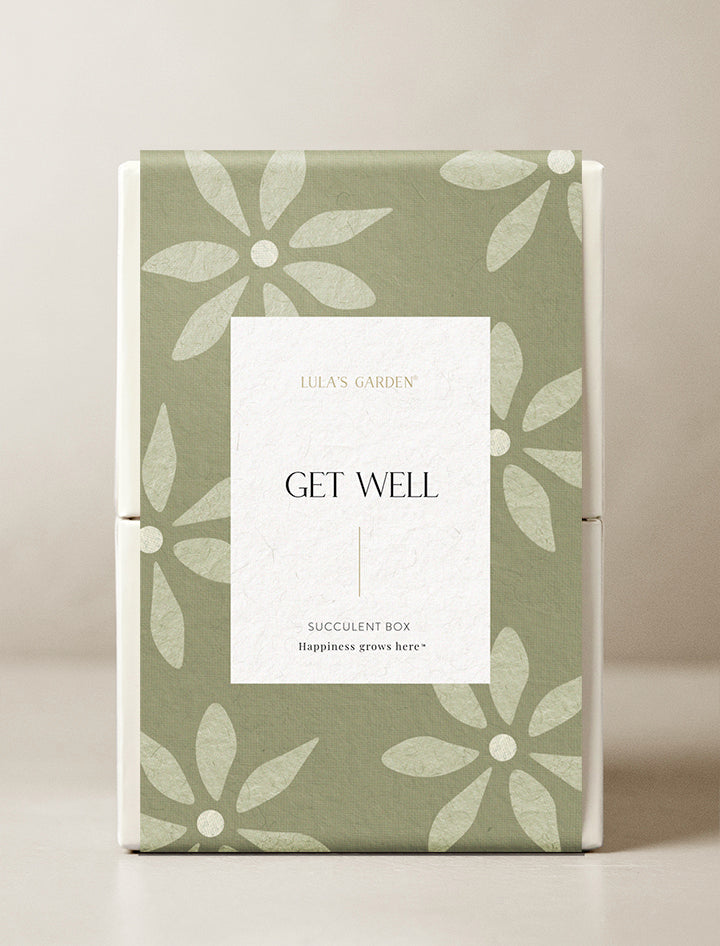 Get Well Glow Garden