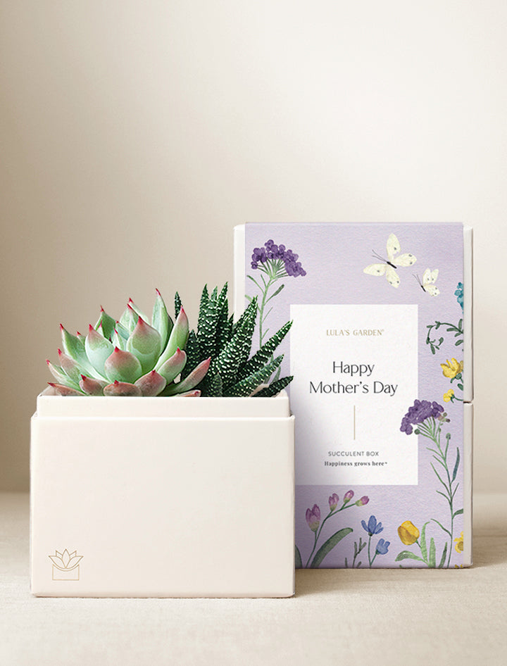 Mother's Day Glow Garden