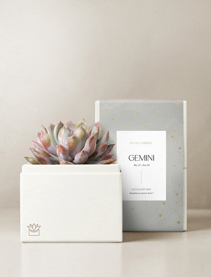 Gemini Garden