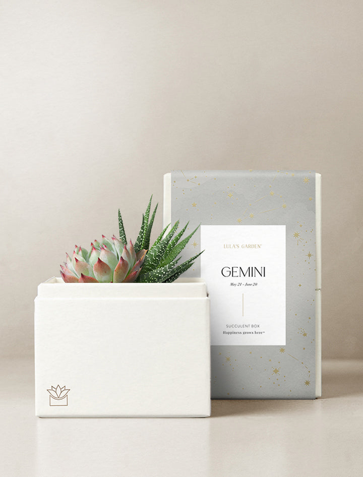 Gemini Garden