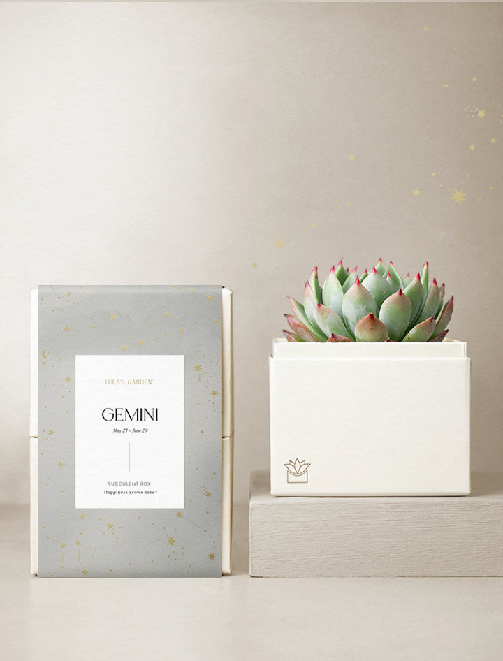 Gemini Garden