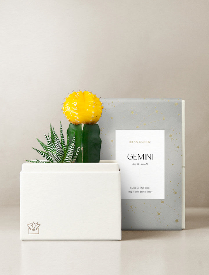 Gemini Garden
