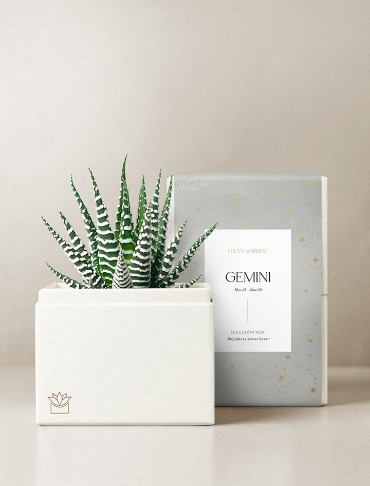 Gemini Garden
