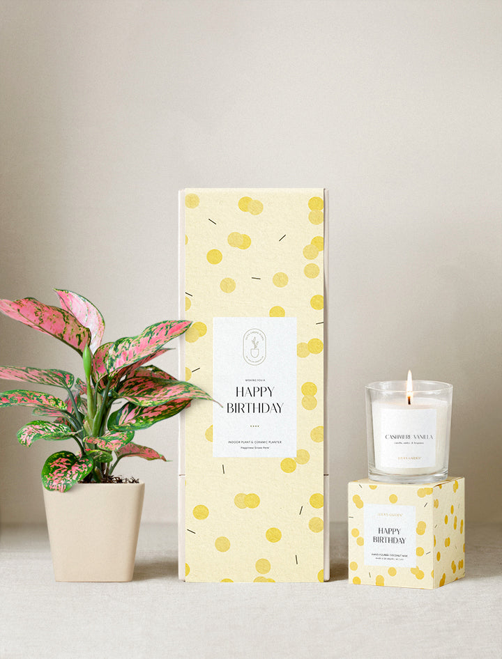 Happy Birthday Plant Gift Set