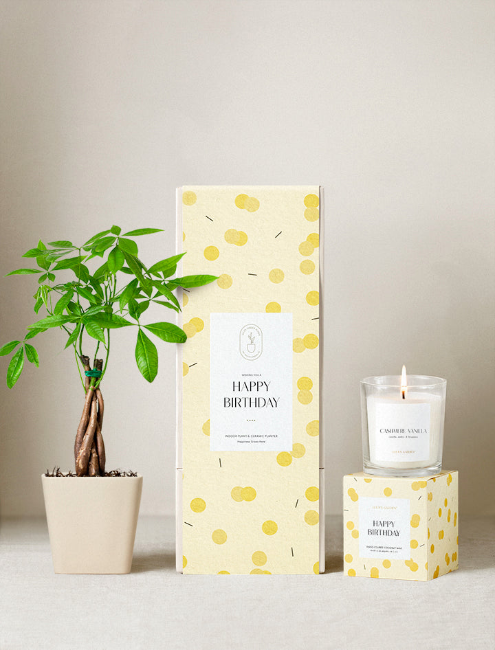 Happy Birthday Plant Gift Set