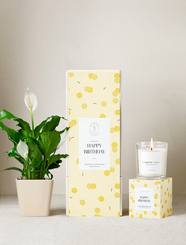 Happy Birthday Plant Gift Set