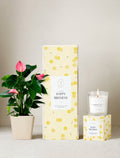 Happy Birthday Plant Gift Set