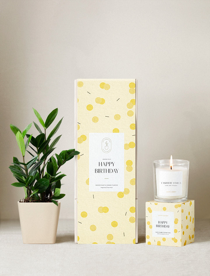 Happy Birthday Plant Gift Set